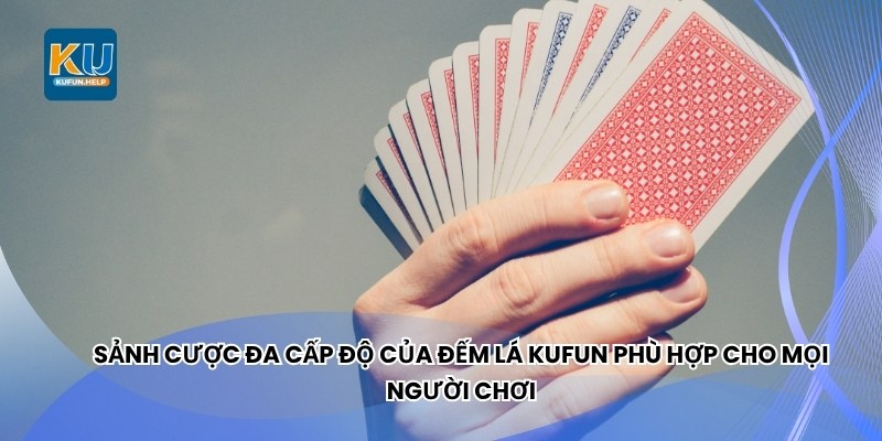 Sảnh cược đa cấp độ của Đếm Lá Kufun phù hợp cho mọi người chơi