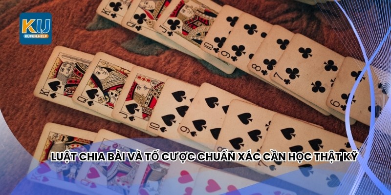 Luật chia bài và tố cược chuẩn xác cần học thật kỹ