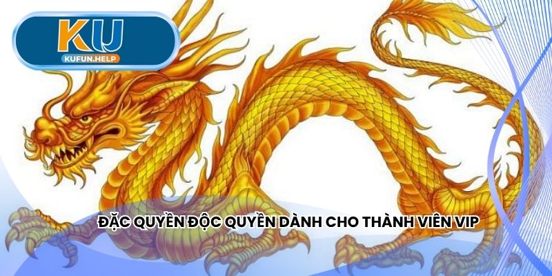 Lợi ích độc đáo dành cho thành viên cao cấp